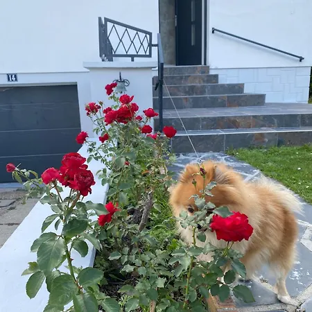 Maison Individuelle, 3chambres, Avec Parking Hébergement de vacances *